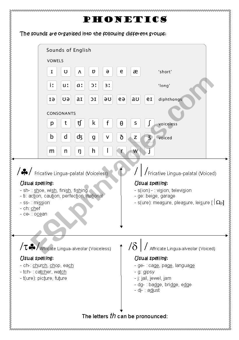 PHONETICS worksheet