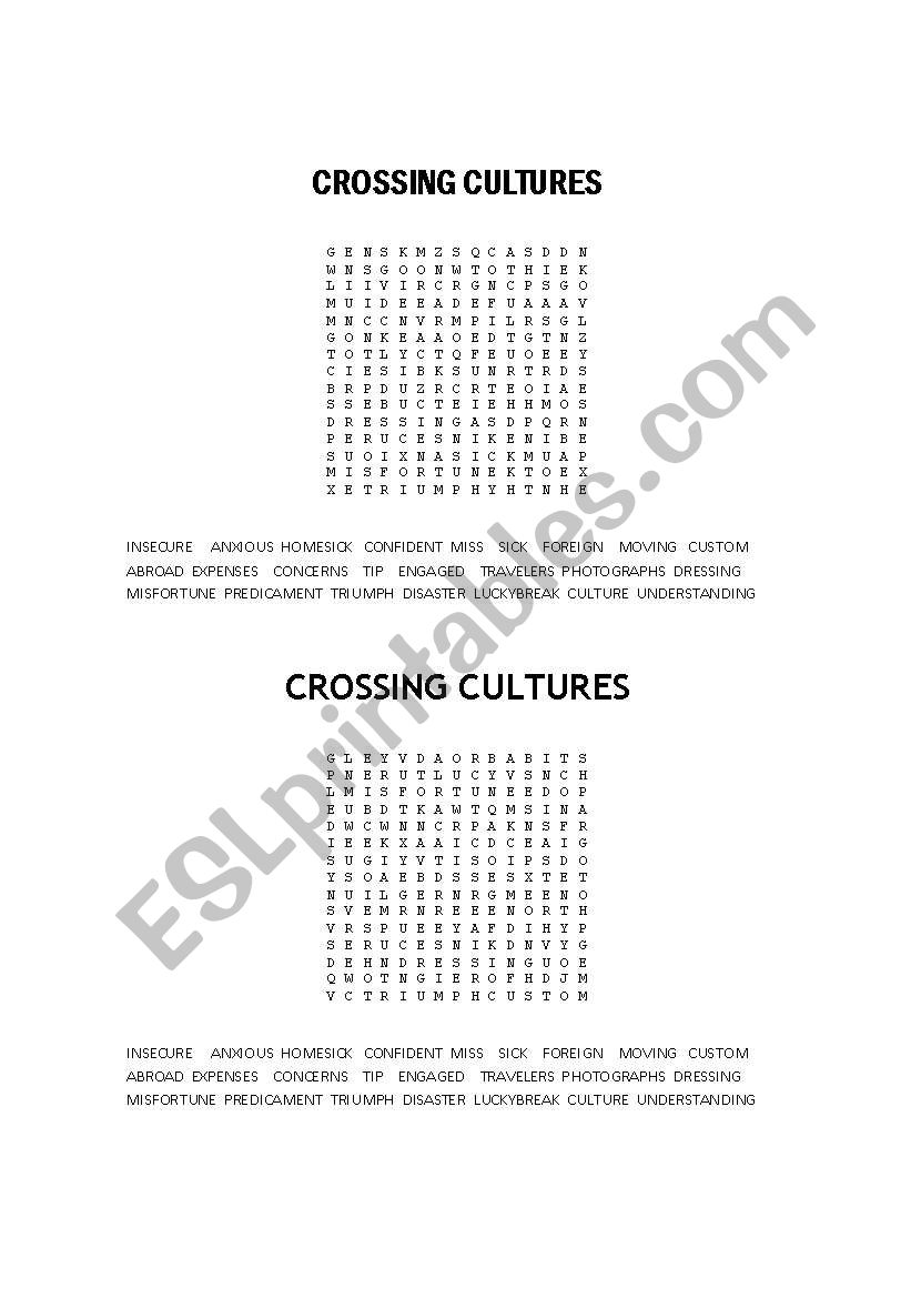 CROSSING CULTURES worksheet