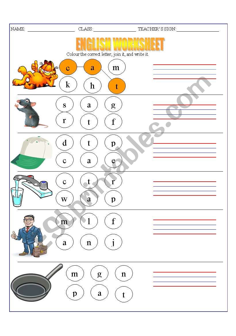 english worksheet for three letter words