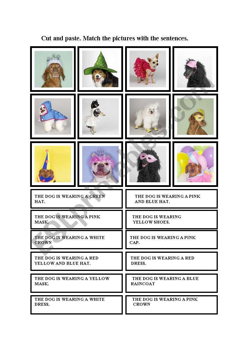 fashion dogs worksheet