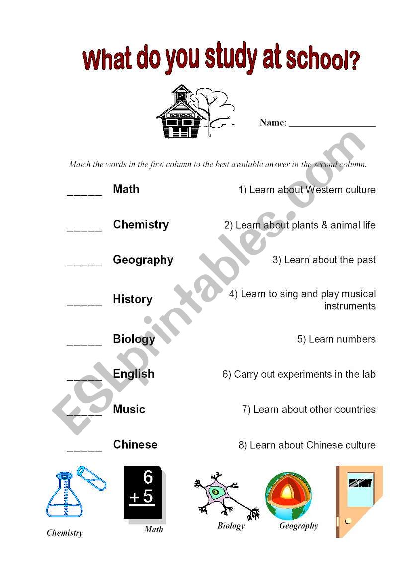 What do you study at school? worksheet