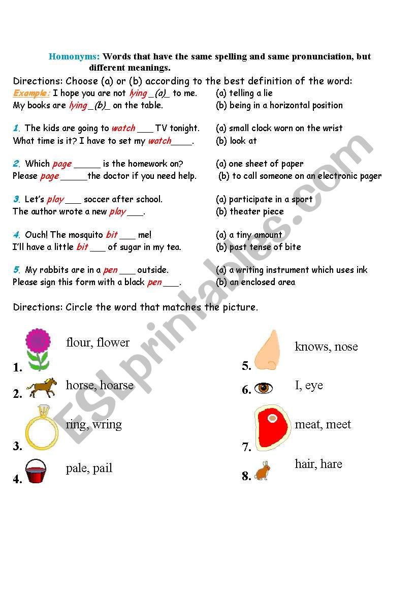 Homonyms worksheet