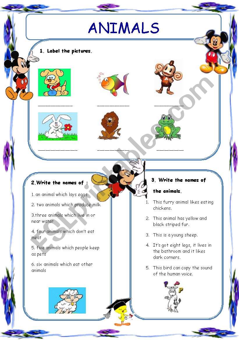 Animals worksheet