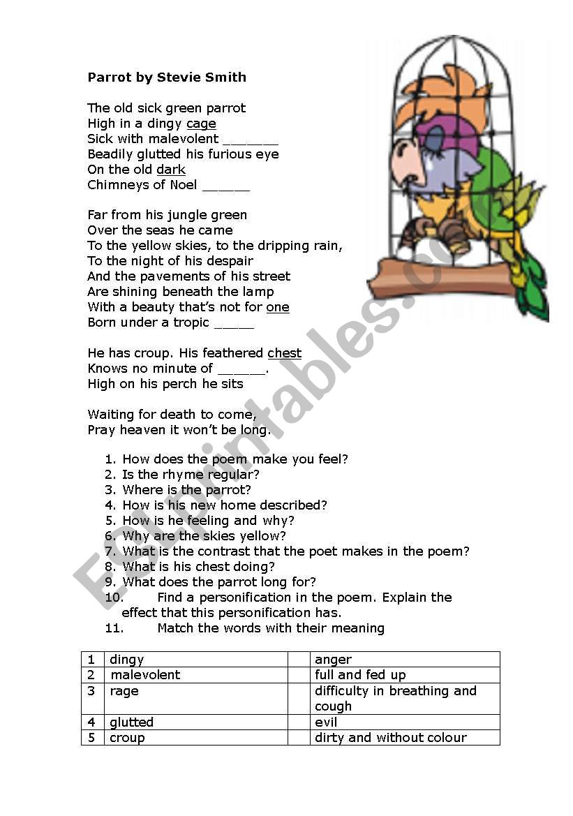 Poem Parrot by Stevie Smith worksheet