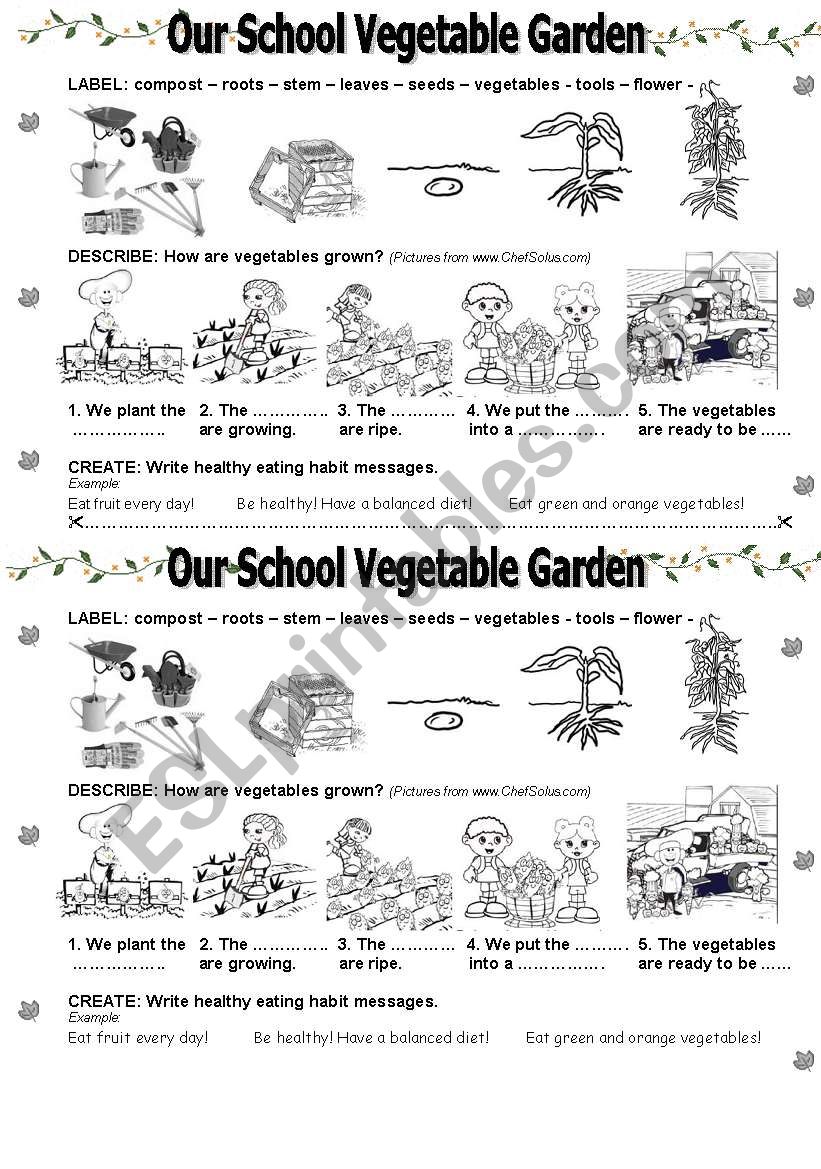 Our School VEGETABLE GARDEN worksheet