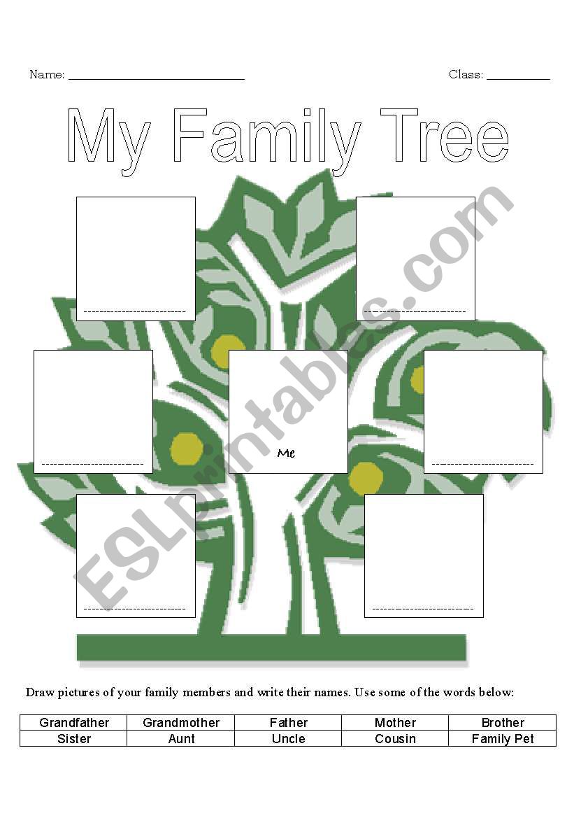Draw your family tree worksheet