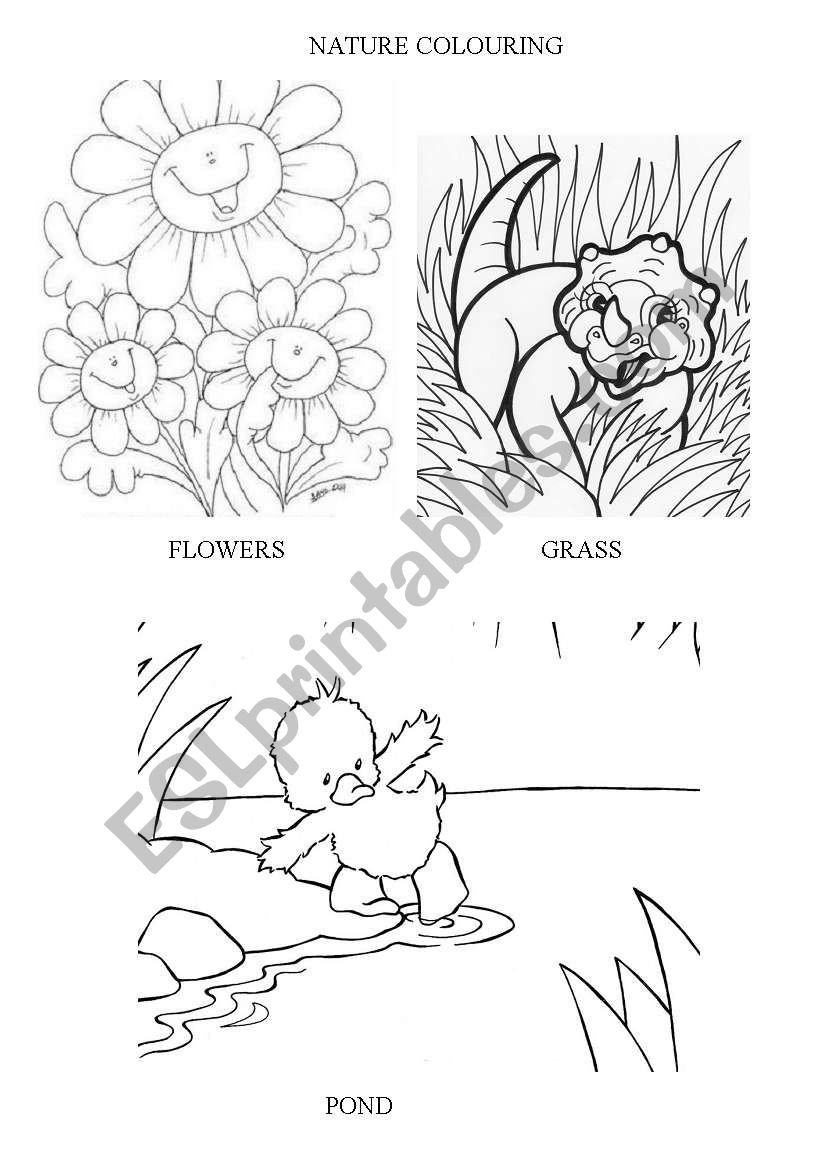 Nature worksheet