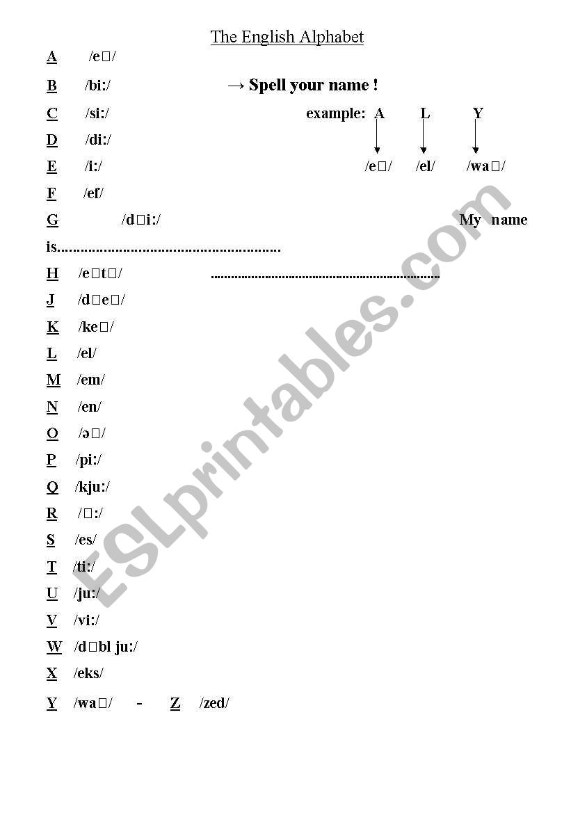 the english alphabet worksheet