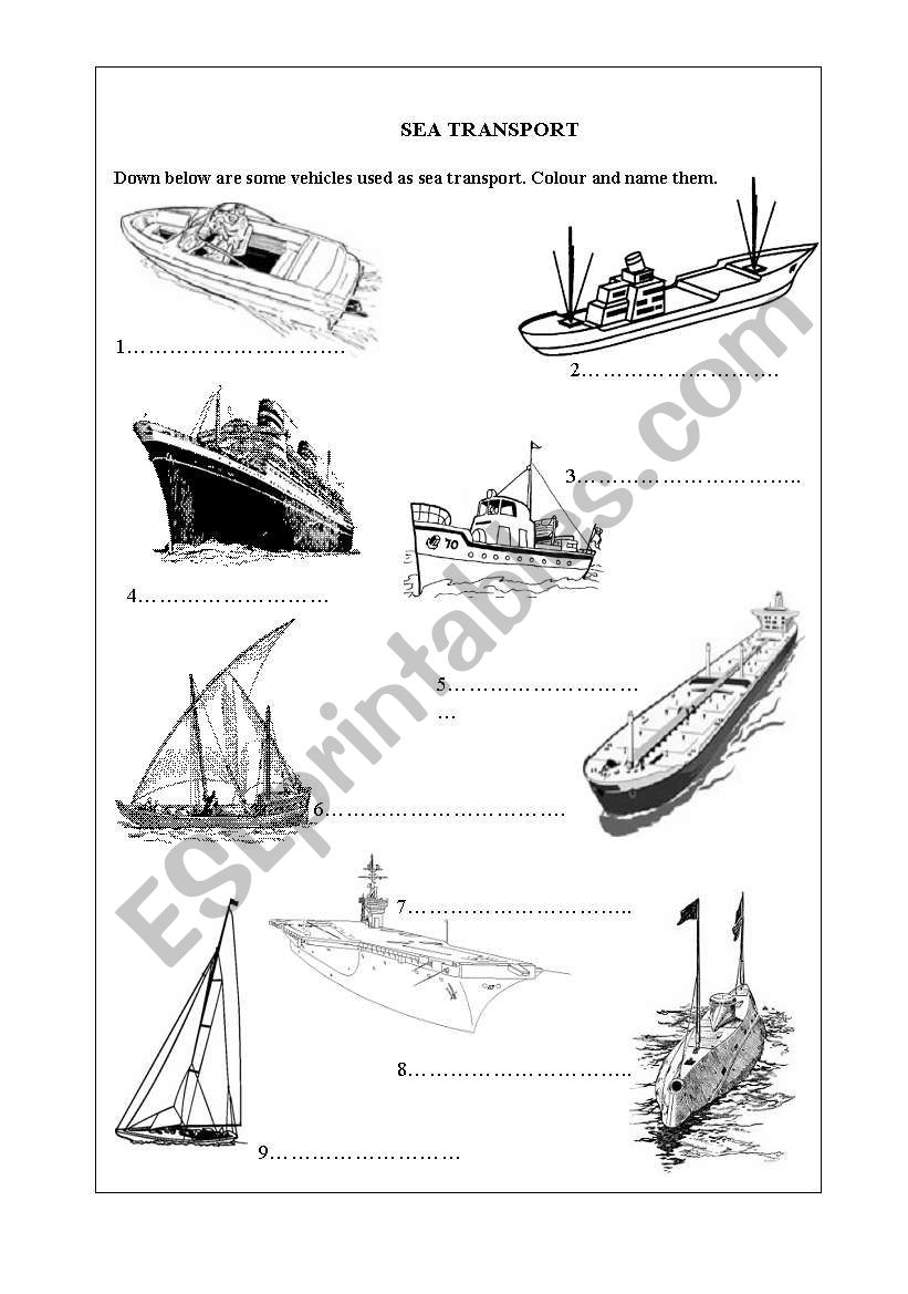 Sea Transport worksheet
