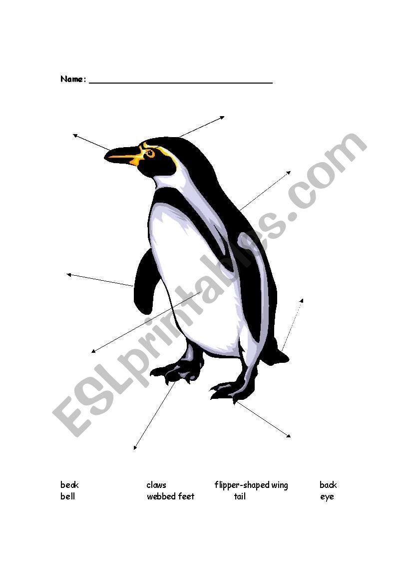 Label the penguin parts worksheet