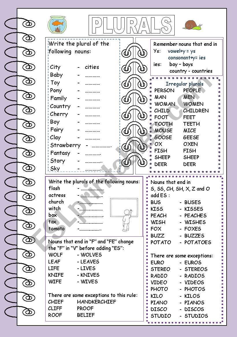 plural-of-nouns-esl-worksheet-by-jamie77