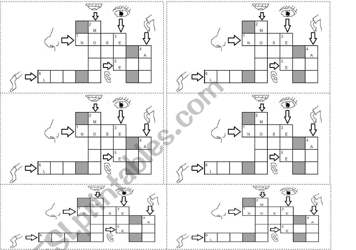 Body Parts Crossword worksheet