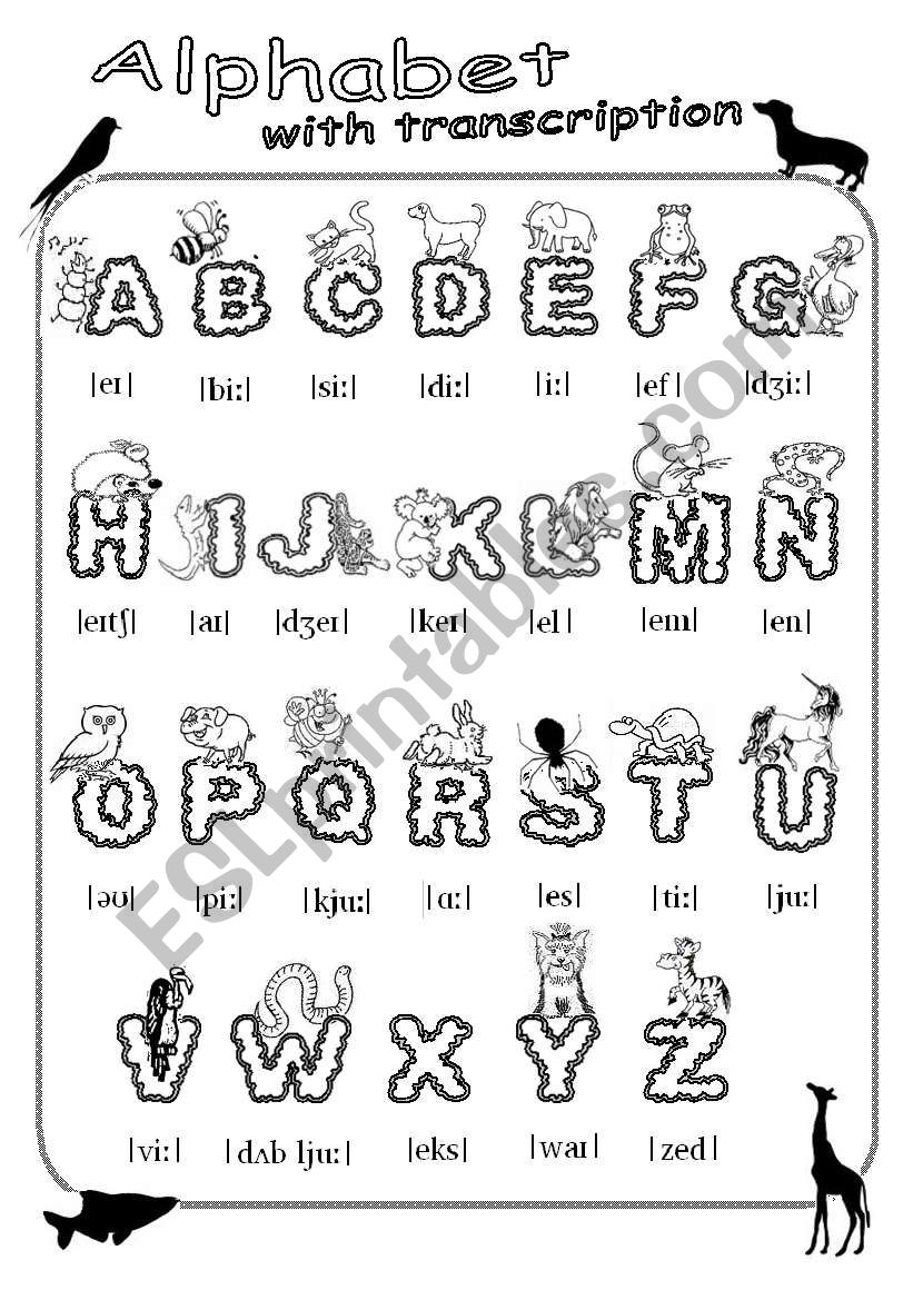 Alphabet with transcription Poster
