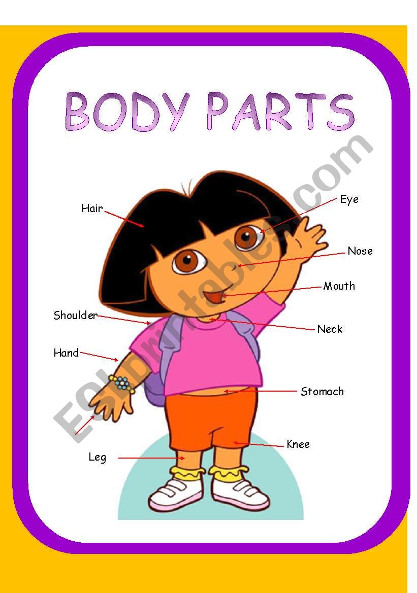 Parts of the body worksheet