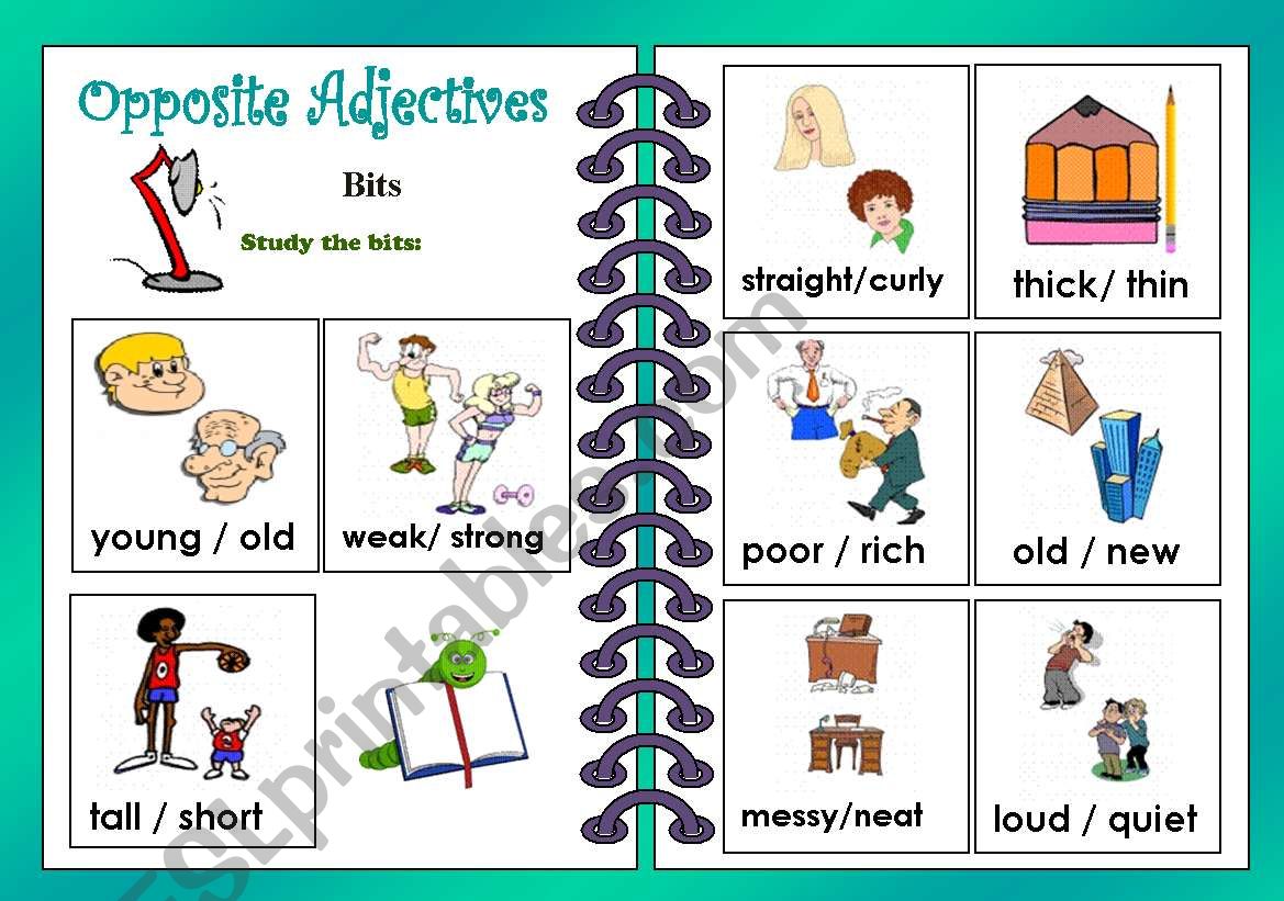 Opposite Adjectives worksheet