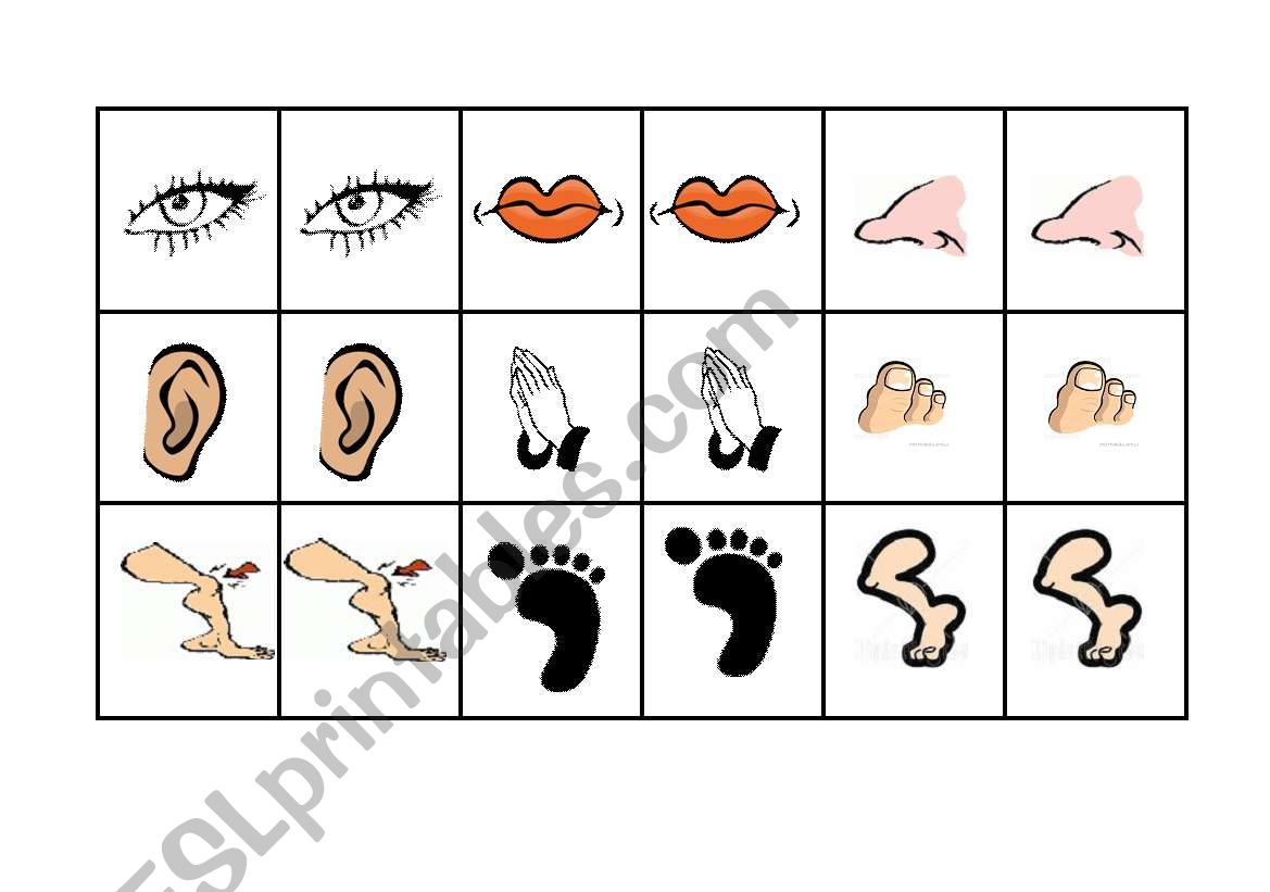 body parts memory worksheet