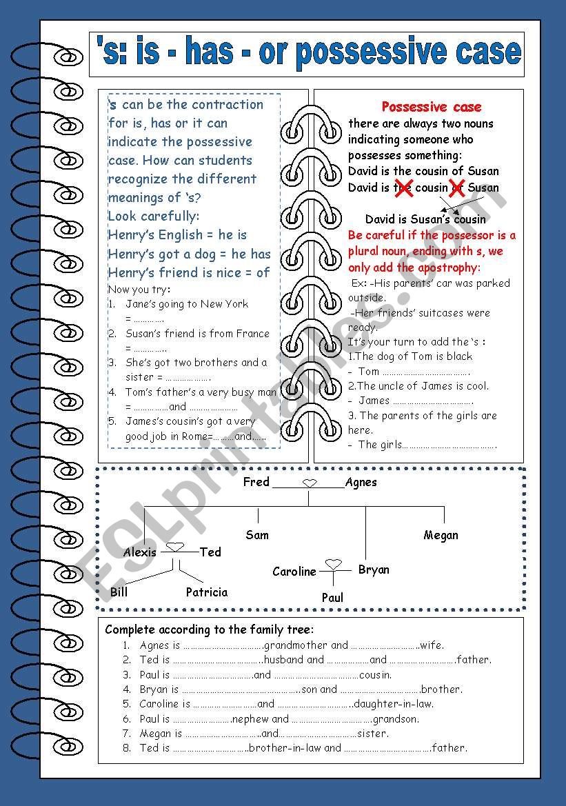 possessive case worksheet