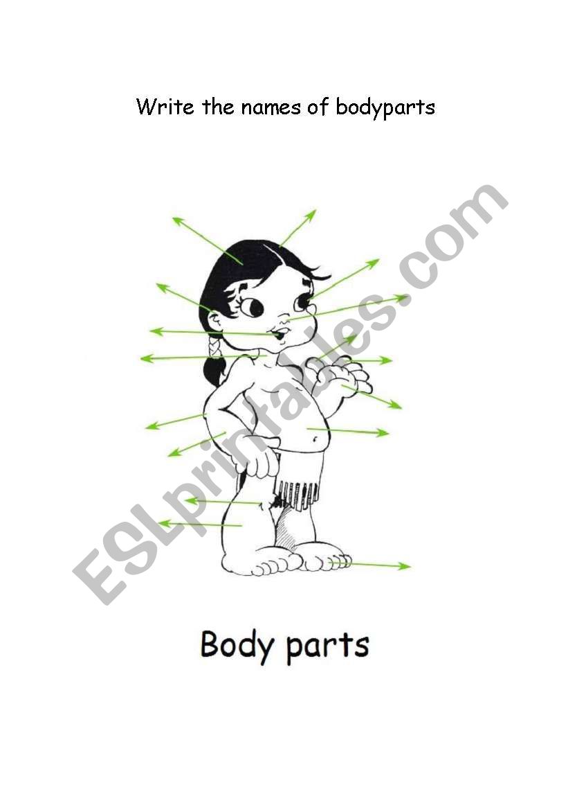 Body parts worksheet