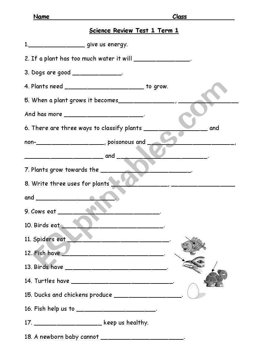 Science Review Grade 2 worksheet