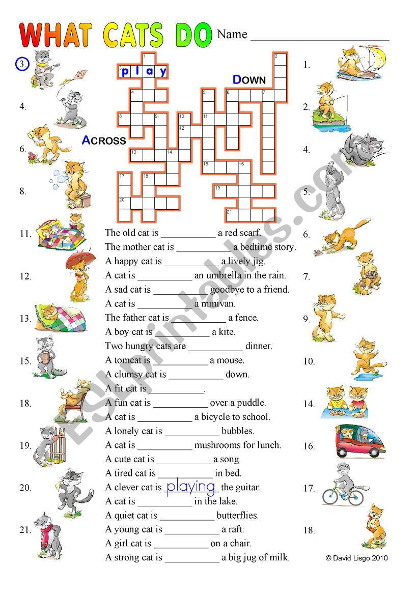 what cats do: the daily life of cats in two puzzles