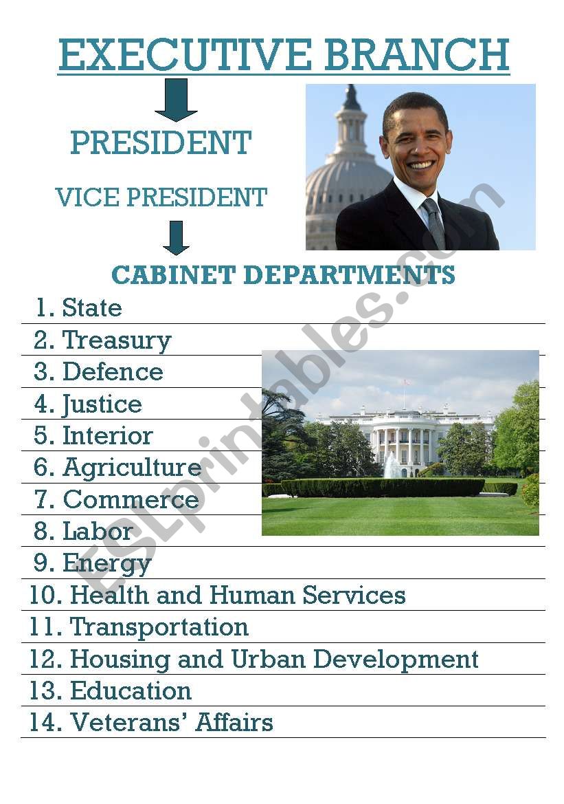 USA political system worksheet