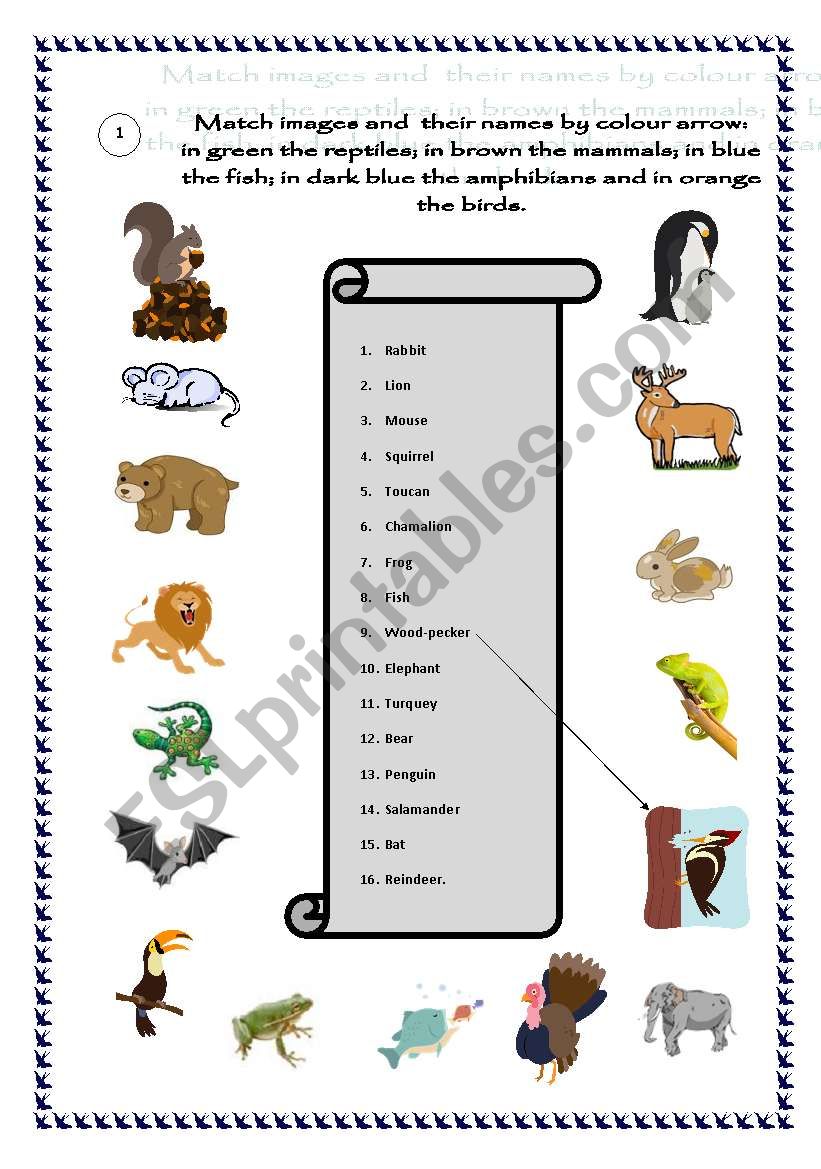 Vertebrate group animals - ESL worksheet by Laly59 Vertebrate group animals - ESL worksheet by Laly59