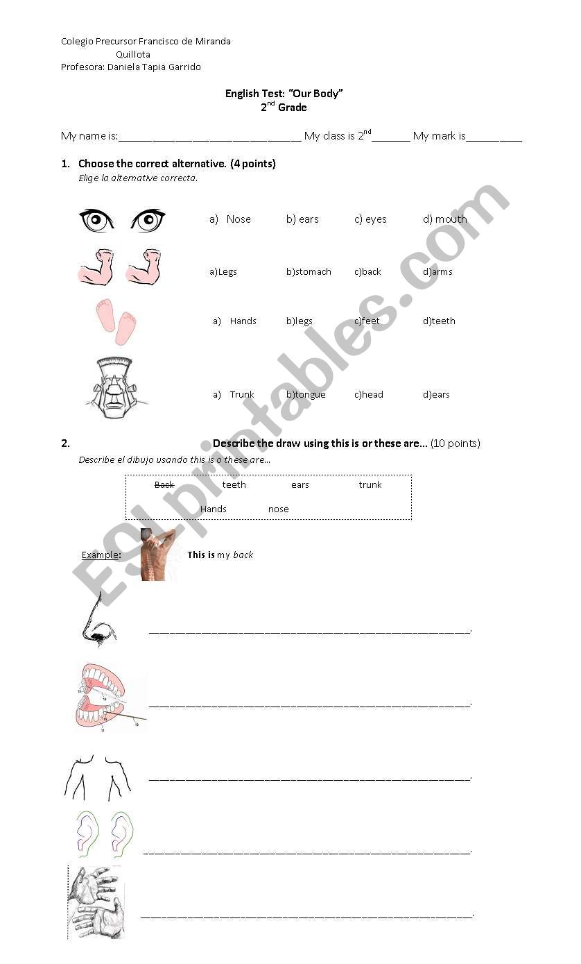 OUR BODY worksheet