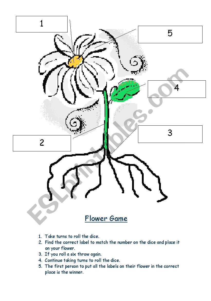 Parts of a flower game worksheet