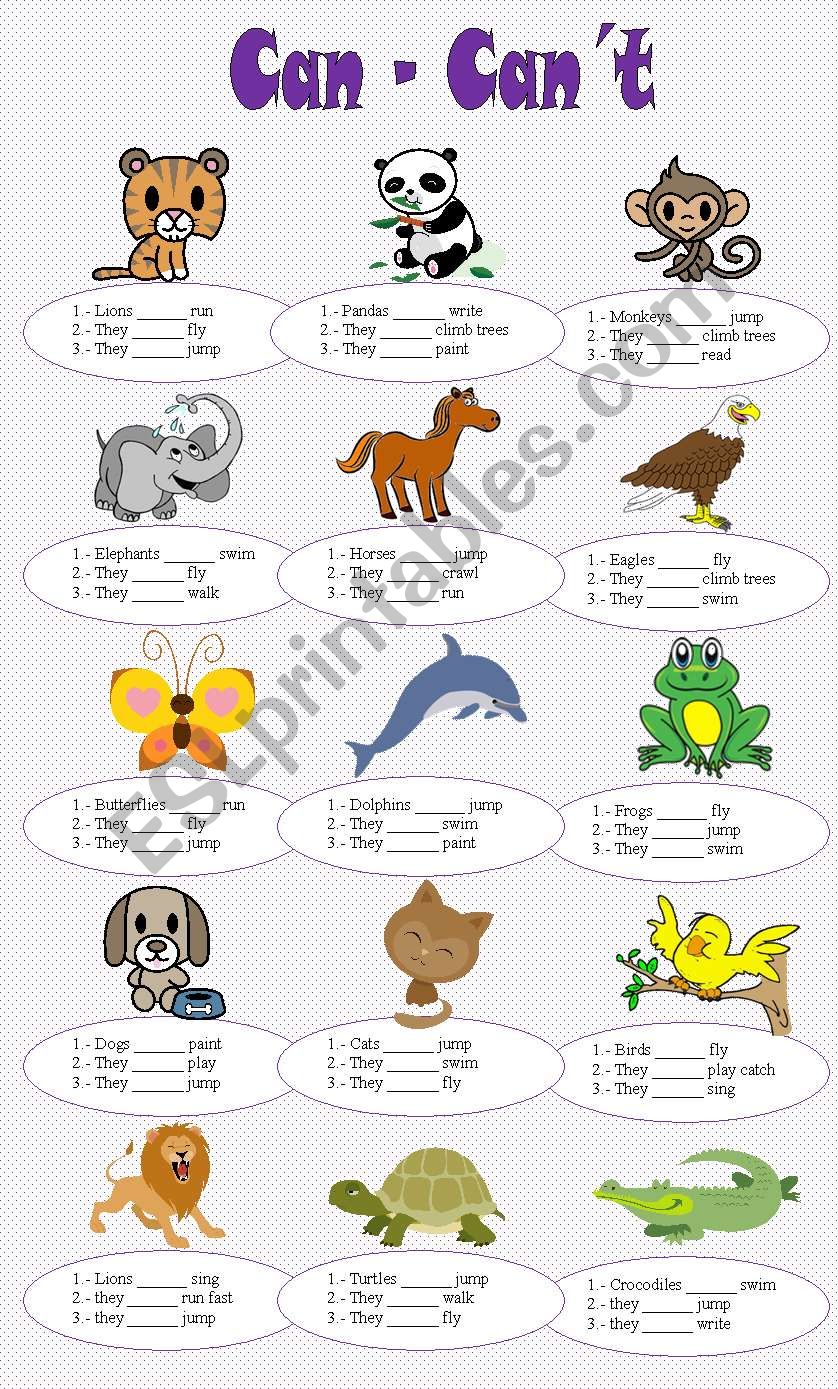 CAN - CANÂ´T worksheet