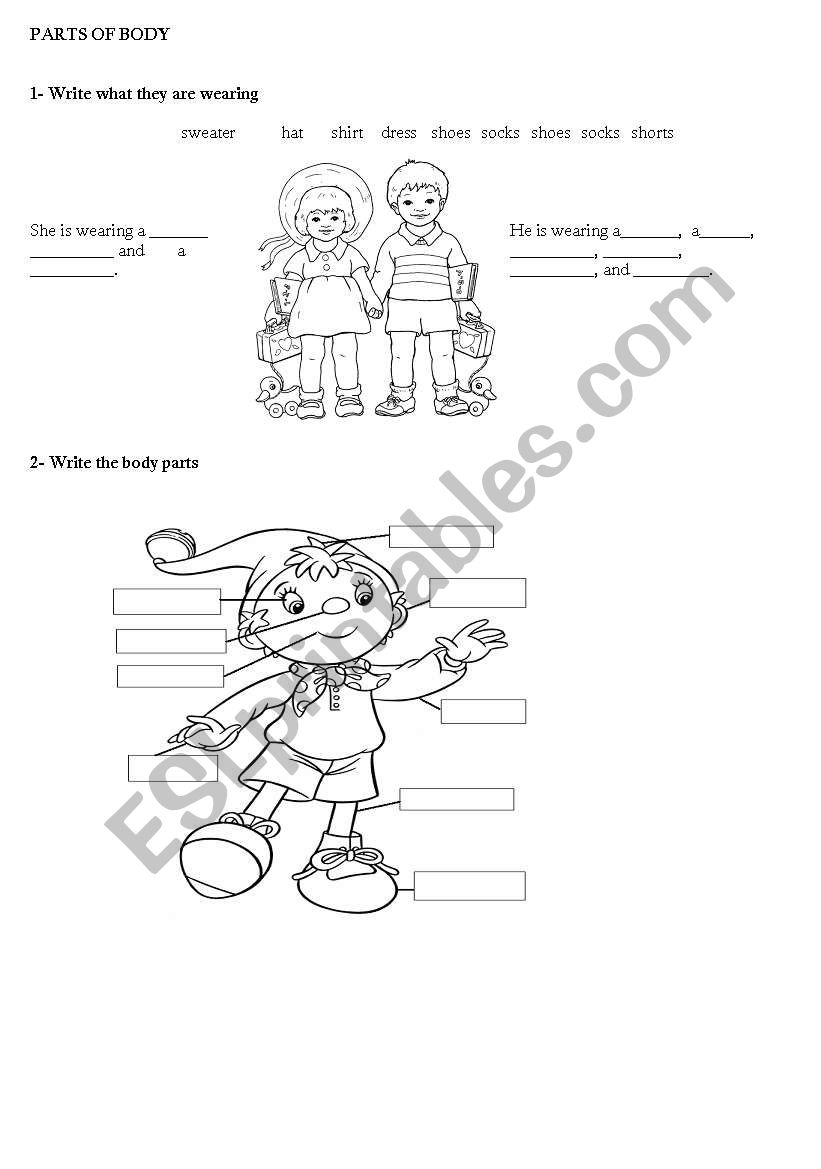 parts of body worksheet