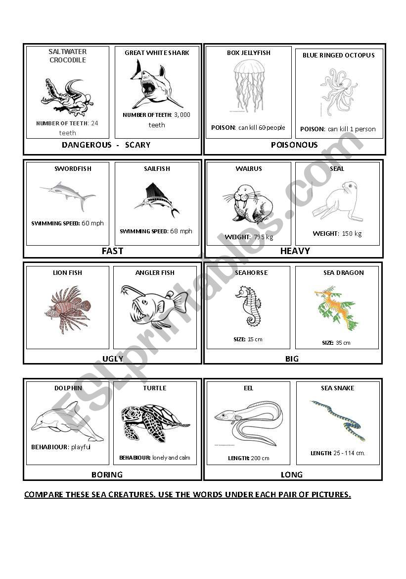 Comparison - Sea creatures worksheet