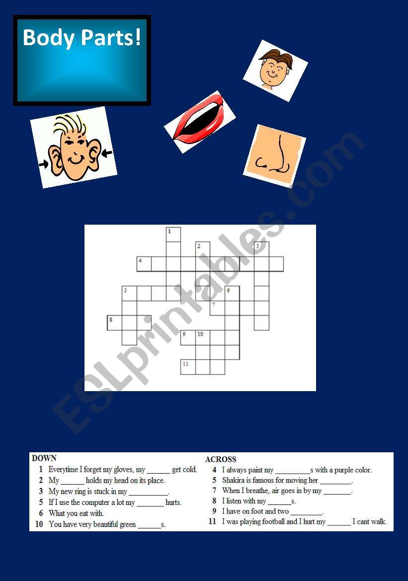 Body Parts worksheet