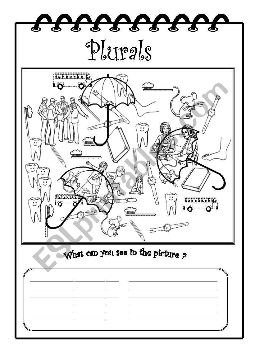 Plurals worksheet