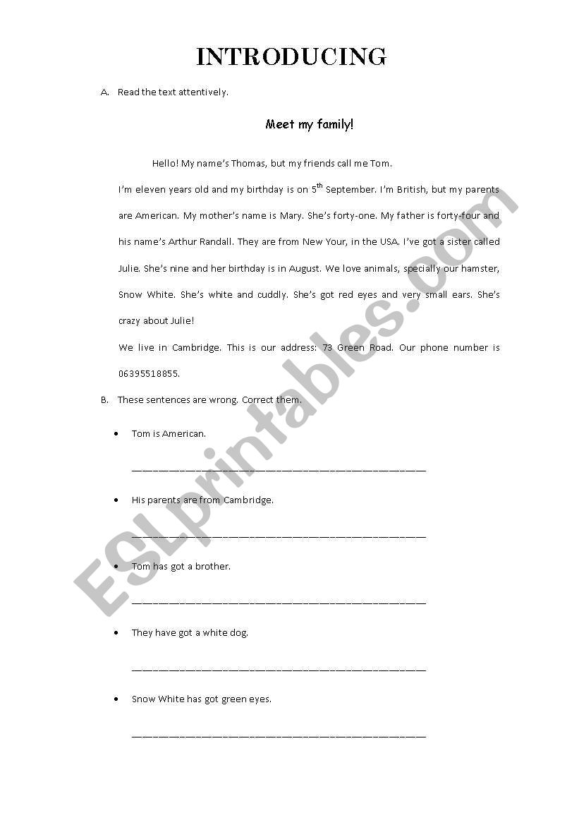 worksheet revision worksheet