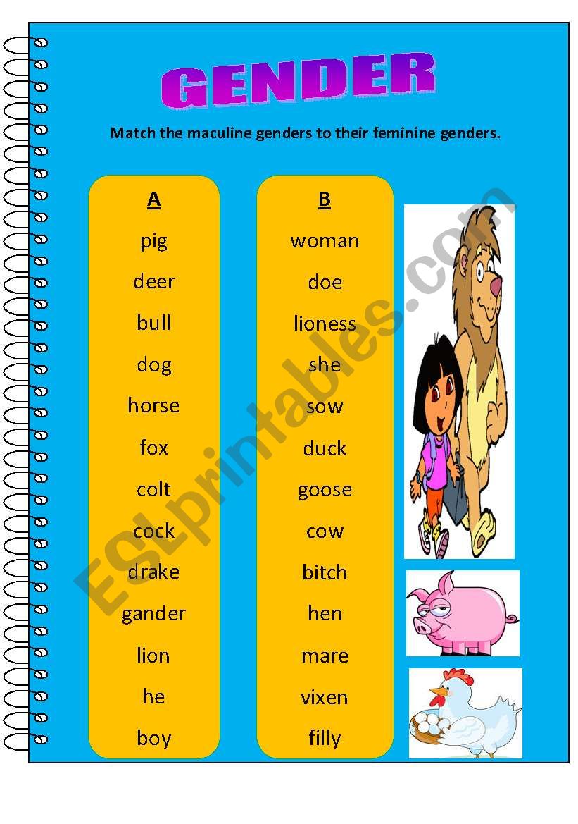 Gender Worksheet For Kindergarten