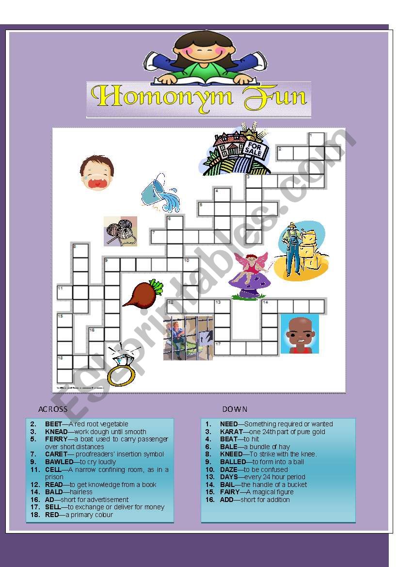 Homonym Puzzle Fun worksheet