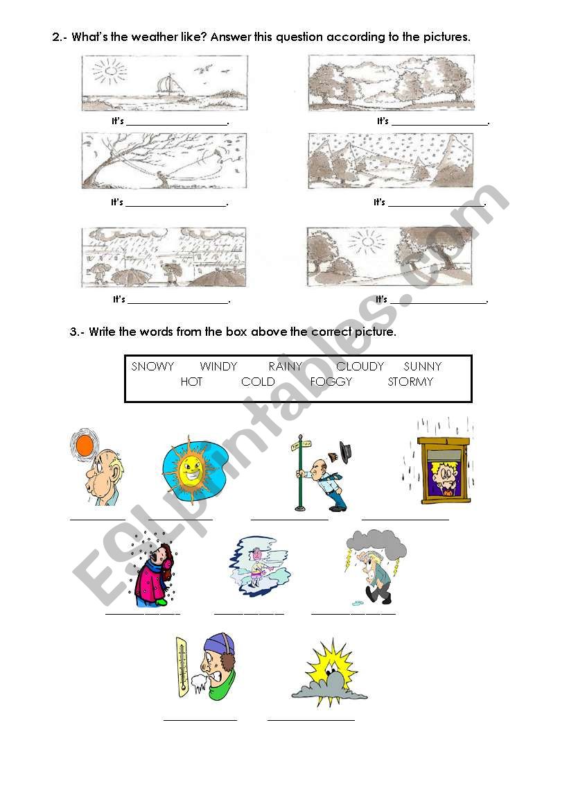 weather forecast worksheet