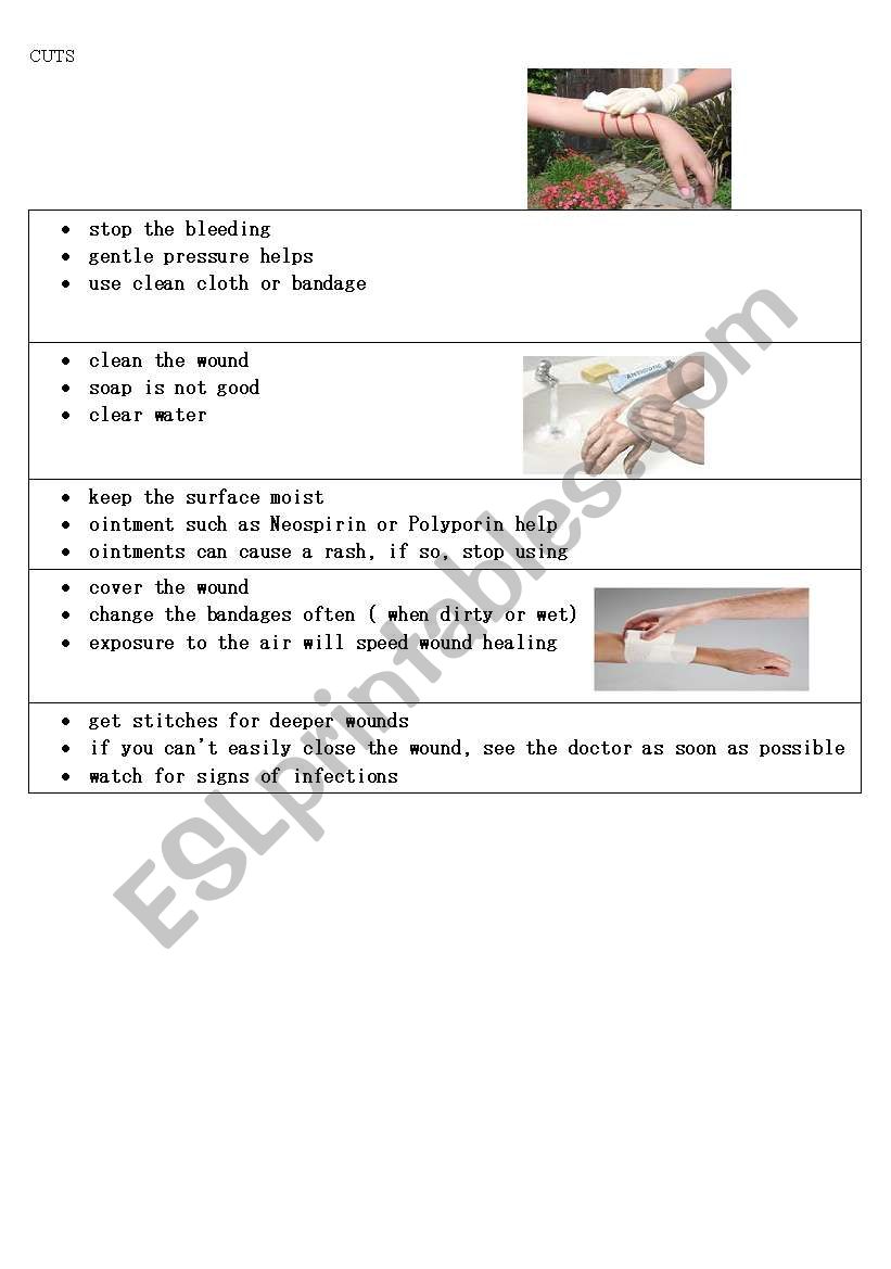 first aid worksheet