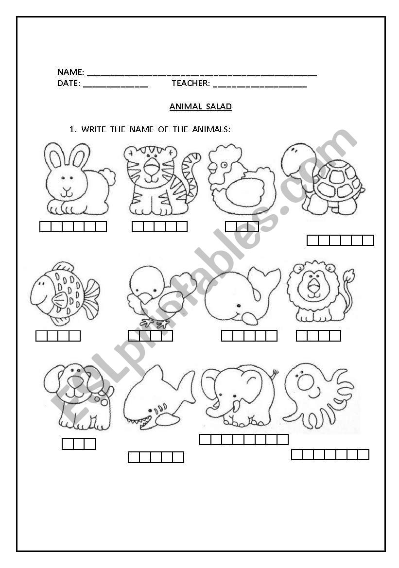 ANIMAL  SALAD worksheet