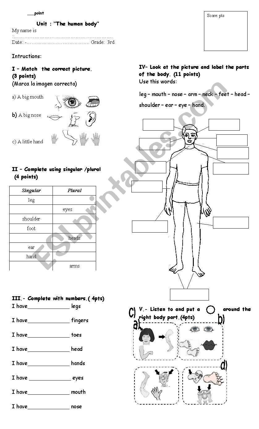parts of the body test worksheet