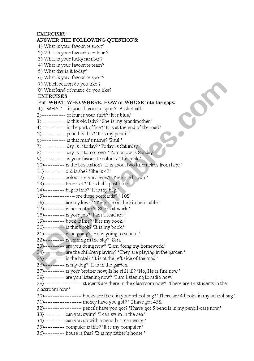 grammar exercises worksheet