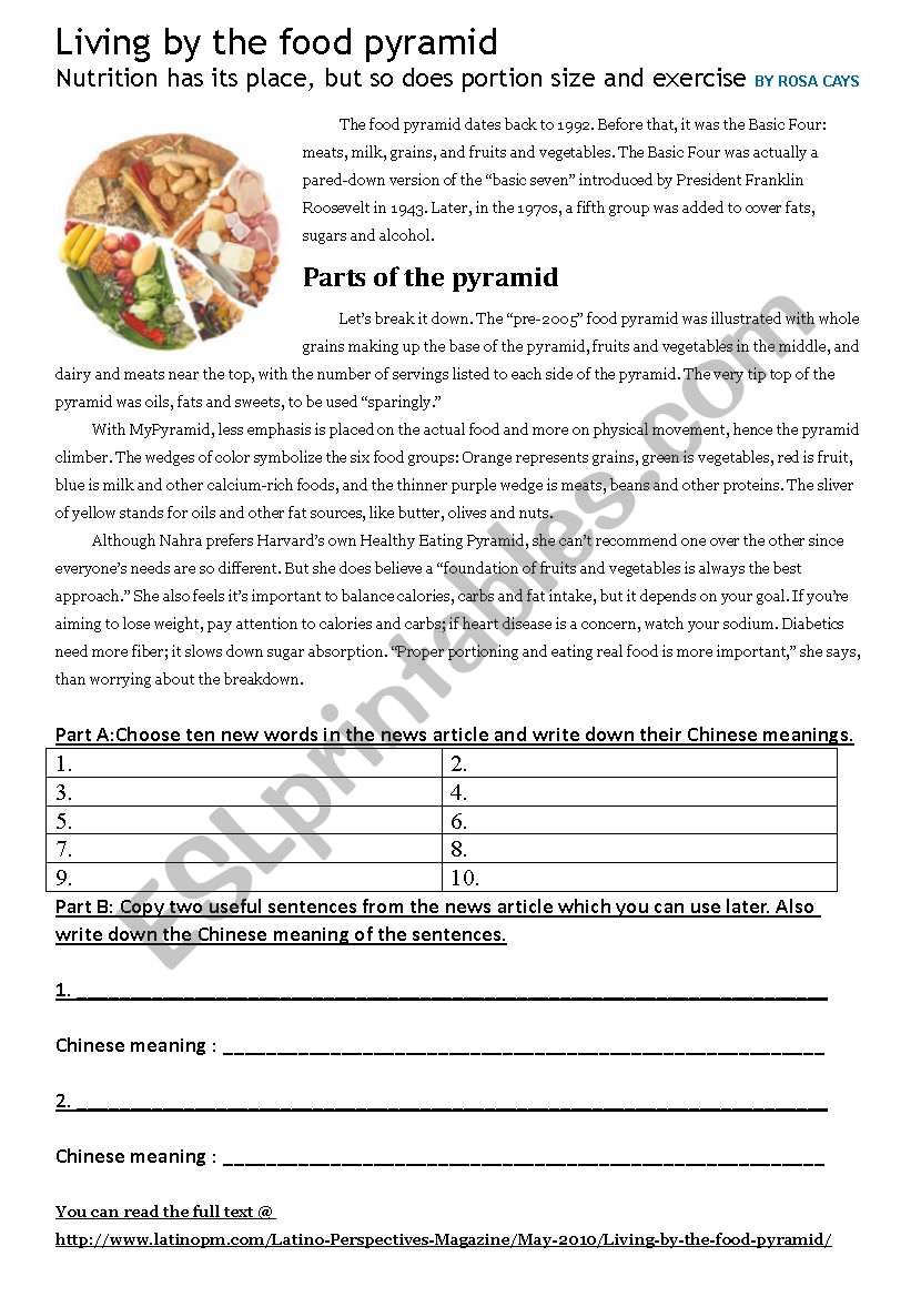 food pyramid worksheet