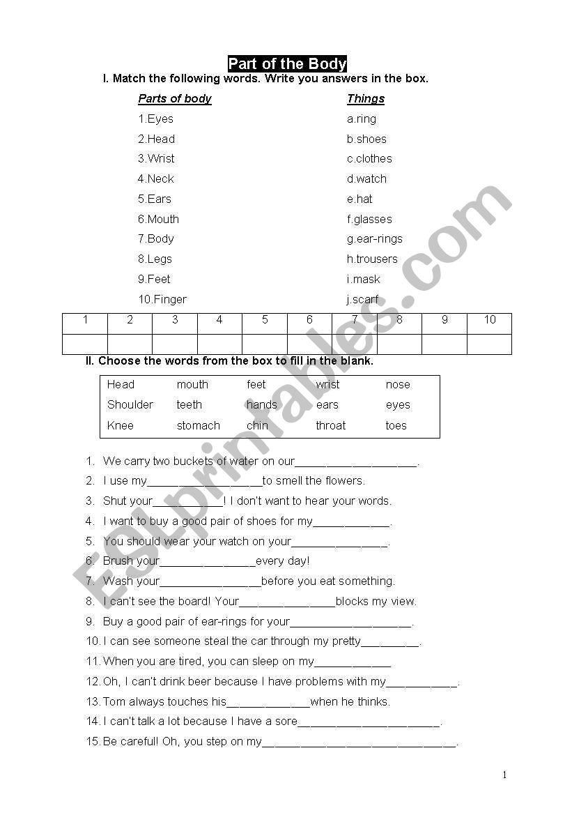 part of the body worksheet