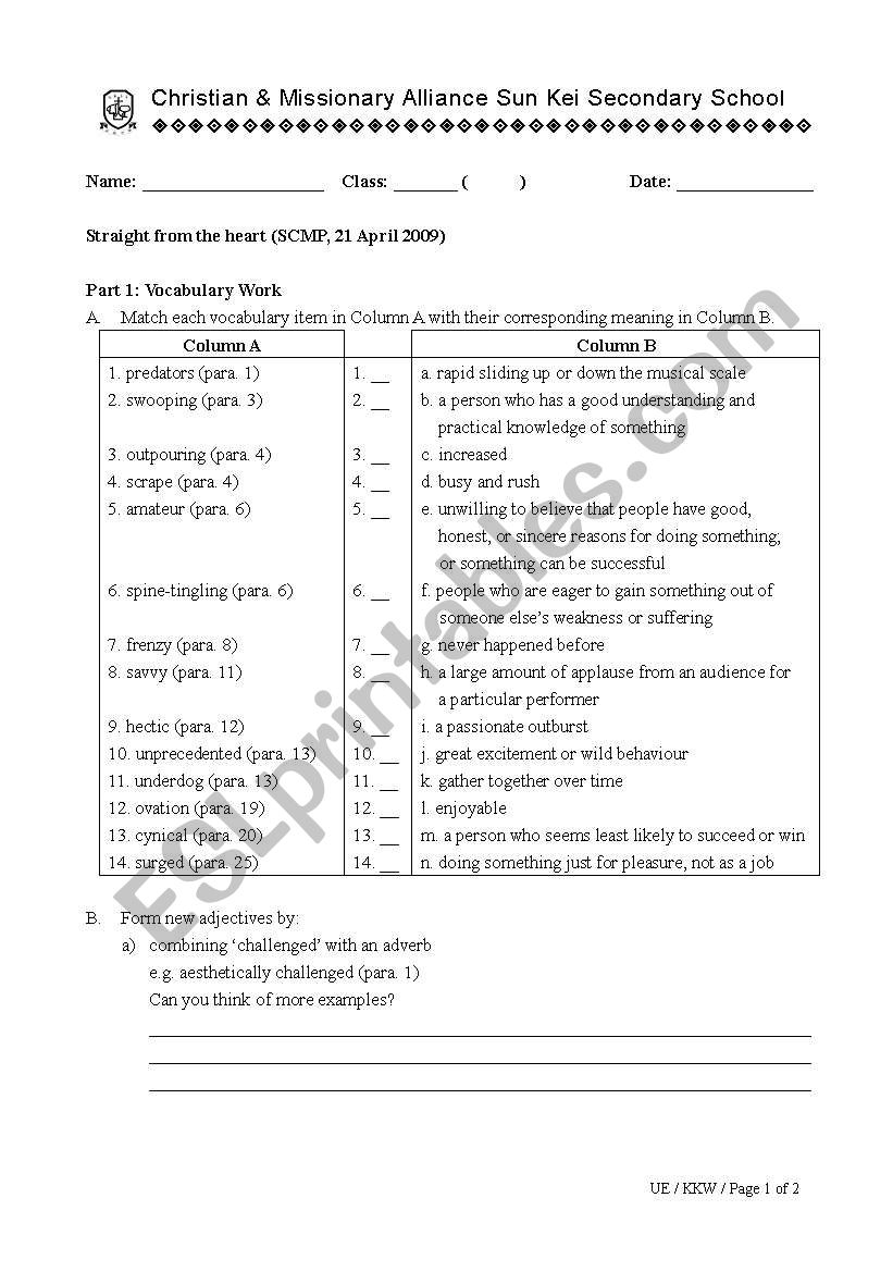 Susan Boyle Worksheet worksheet