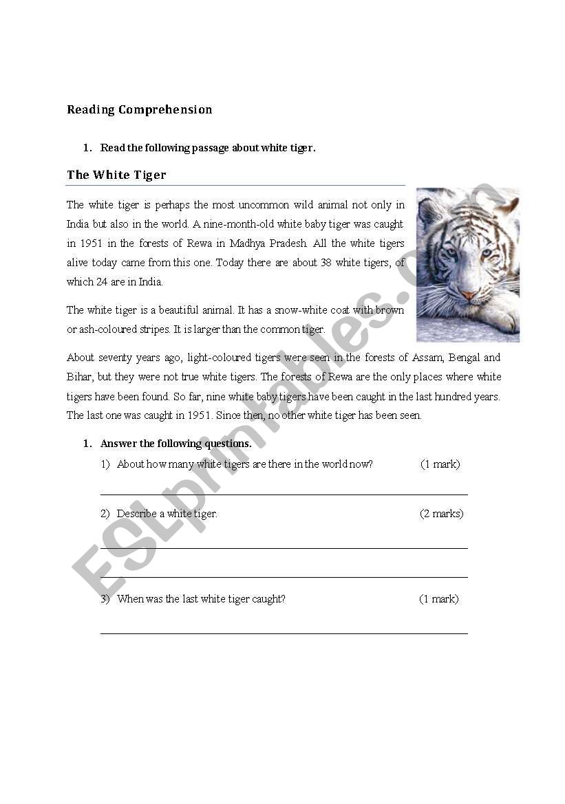 White Tiger worksheet