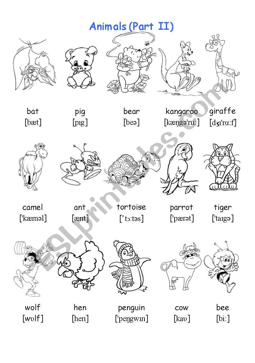 Animals (Part II) worksheet
