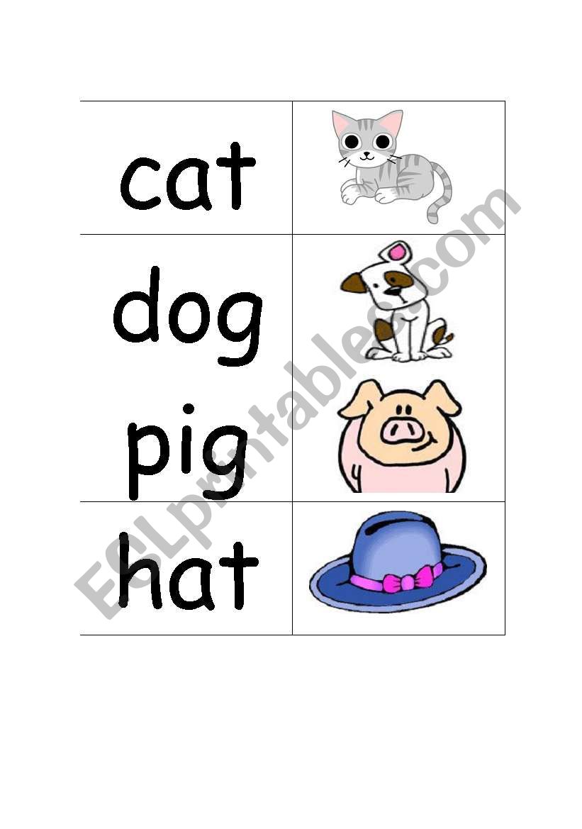 CVC words pairs cards worksheet