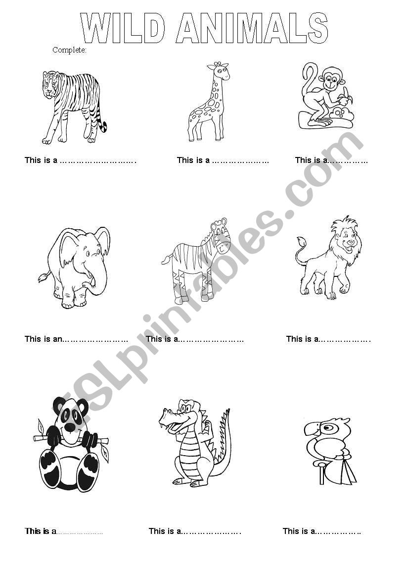 animals worksheet