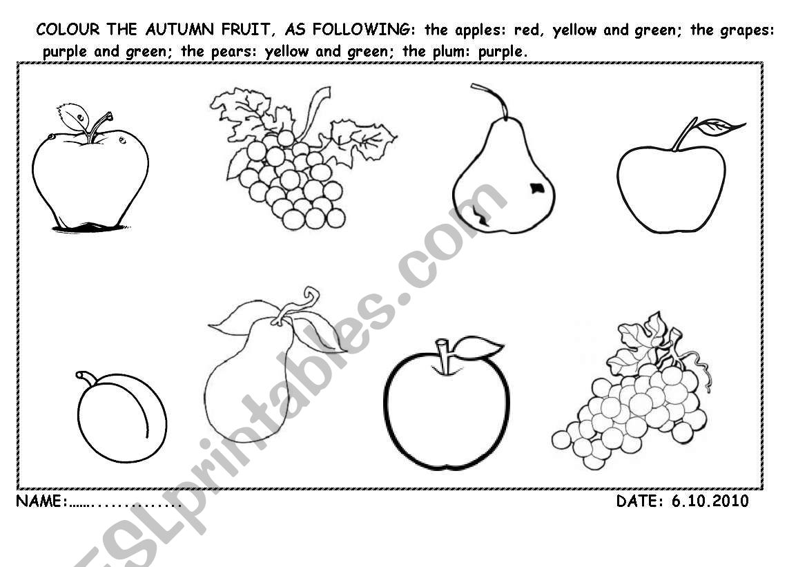 autumn fruit worksheet