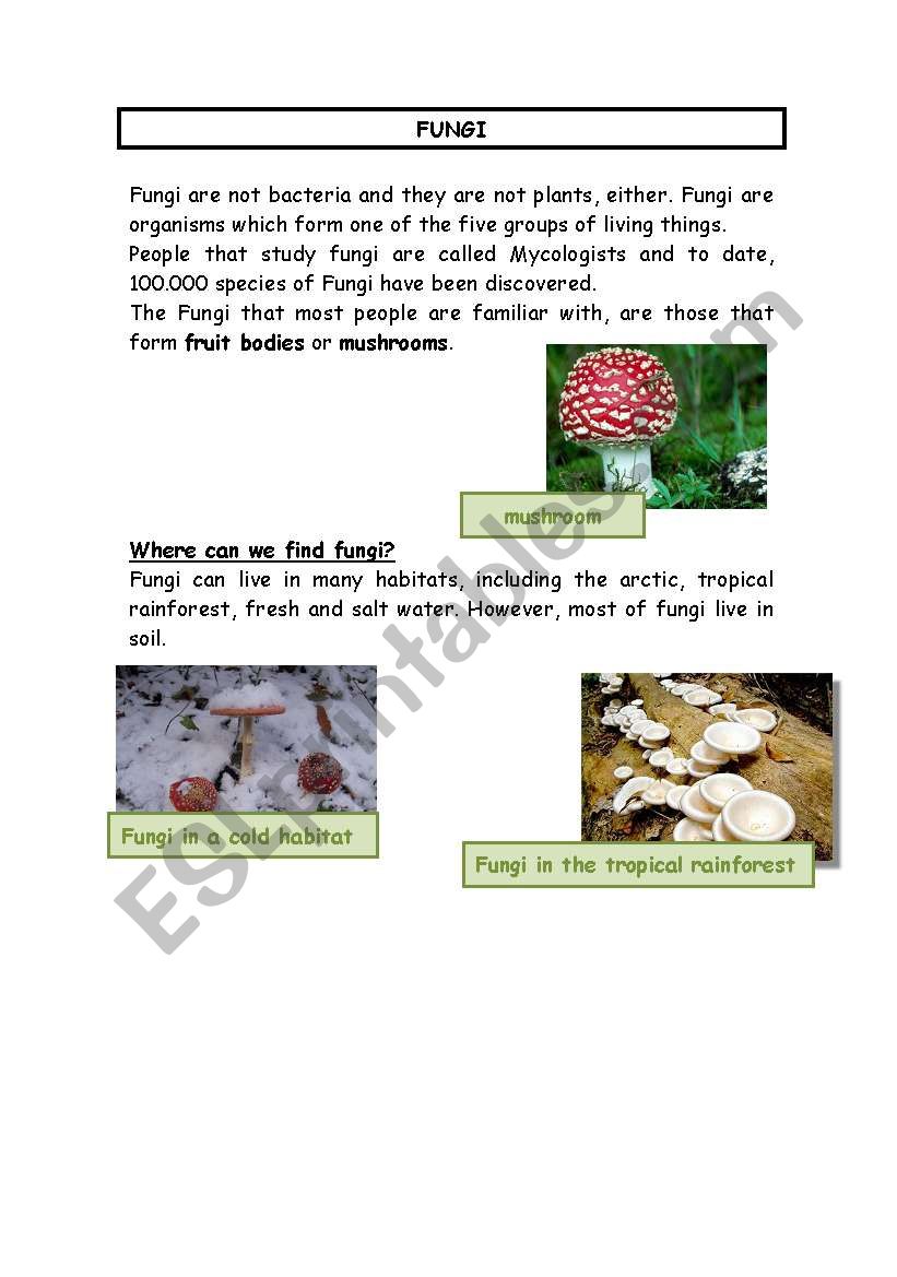 Living things.Part 2/4. fungi worksheet